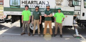 Tree Removal Service in Kokomo IN