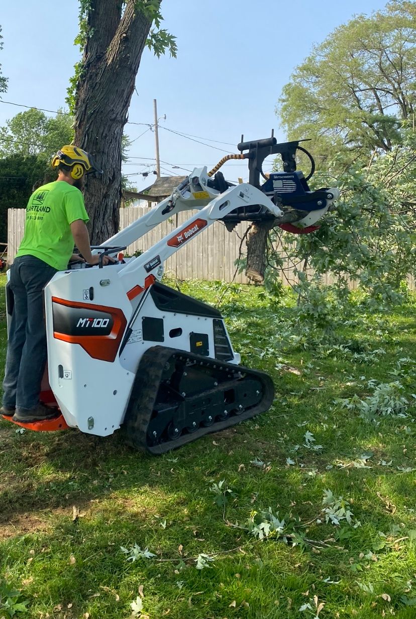 Tree Removal in Kokomo, Indiana: A Heartland Tree Services Experience