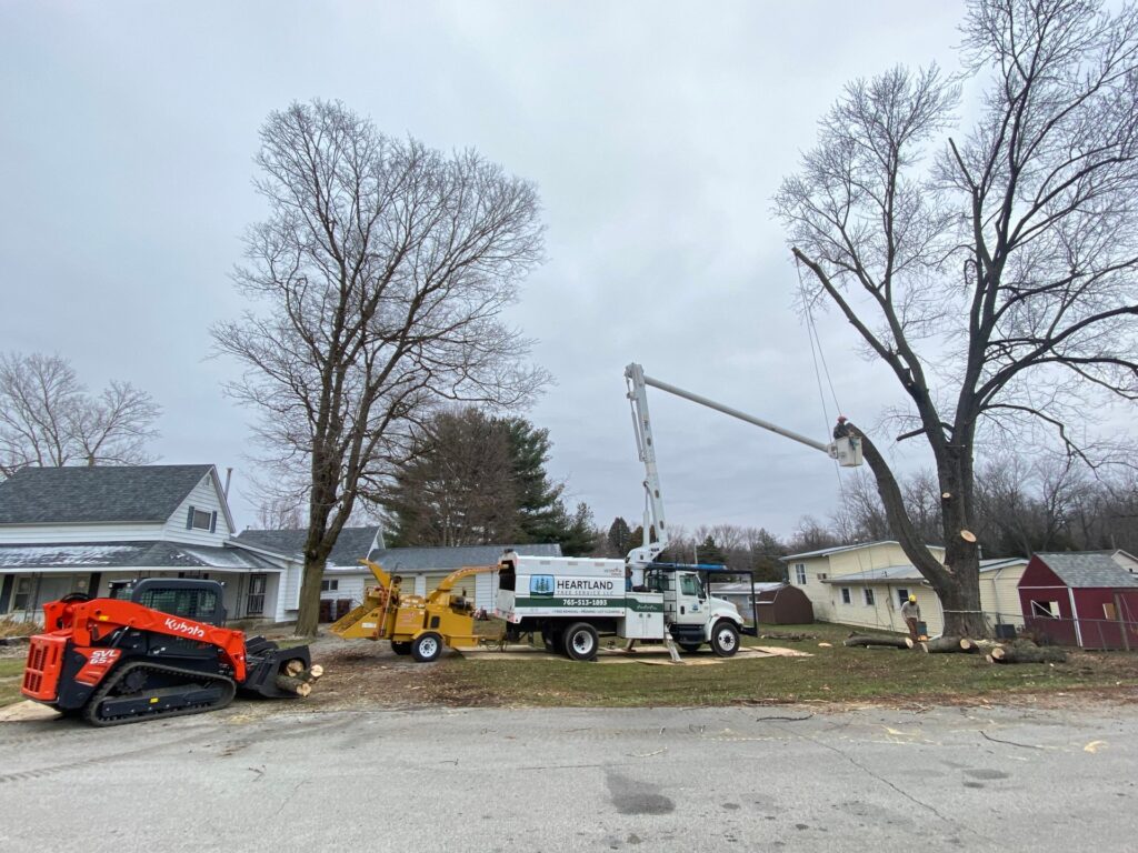 Tree Removal Service in Russiaville, Indiana