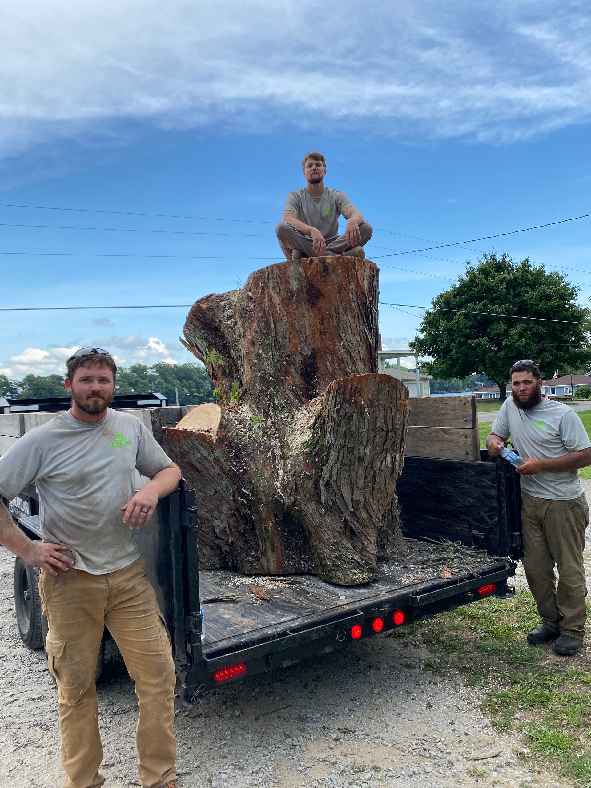heartland tree services in kokomo