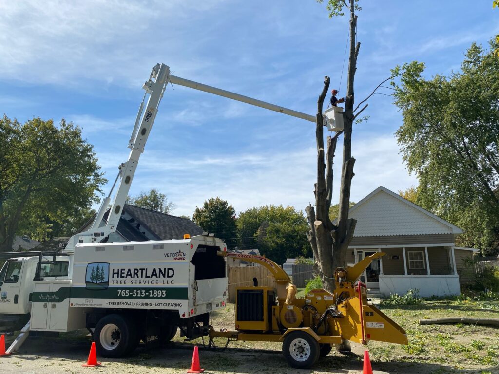 tree service Russiaville