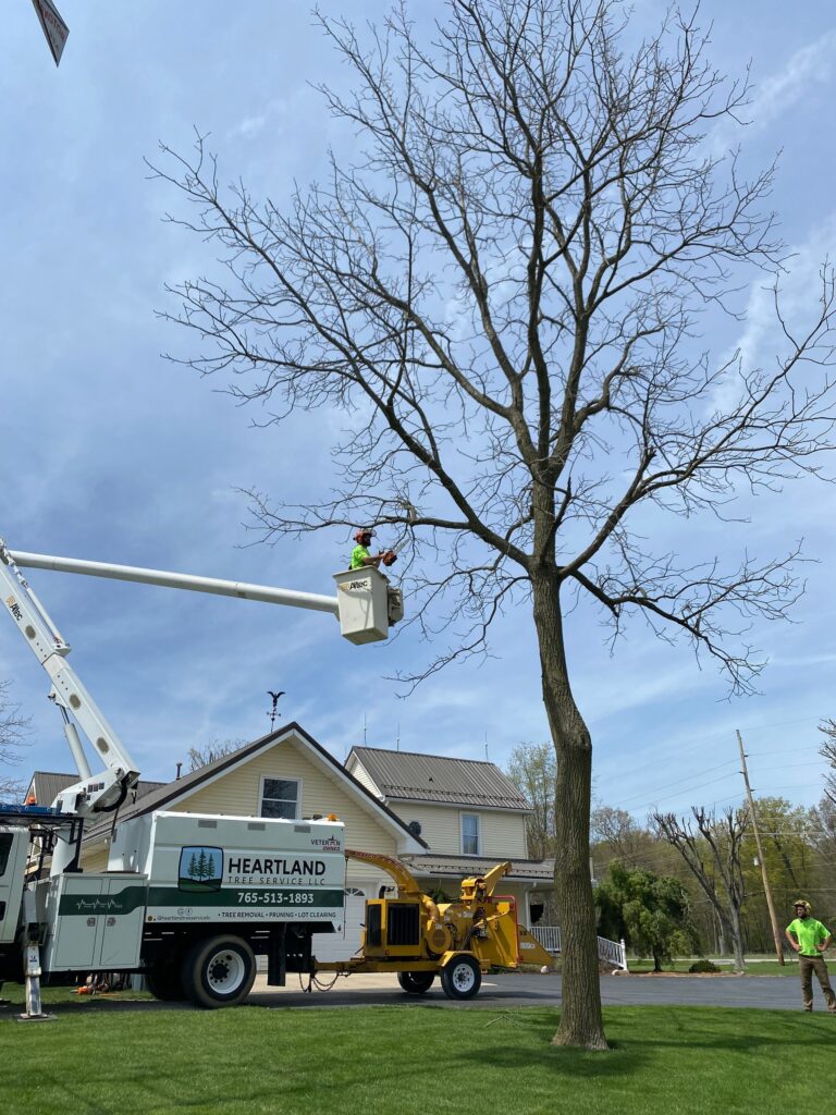 tree service logansport