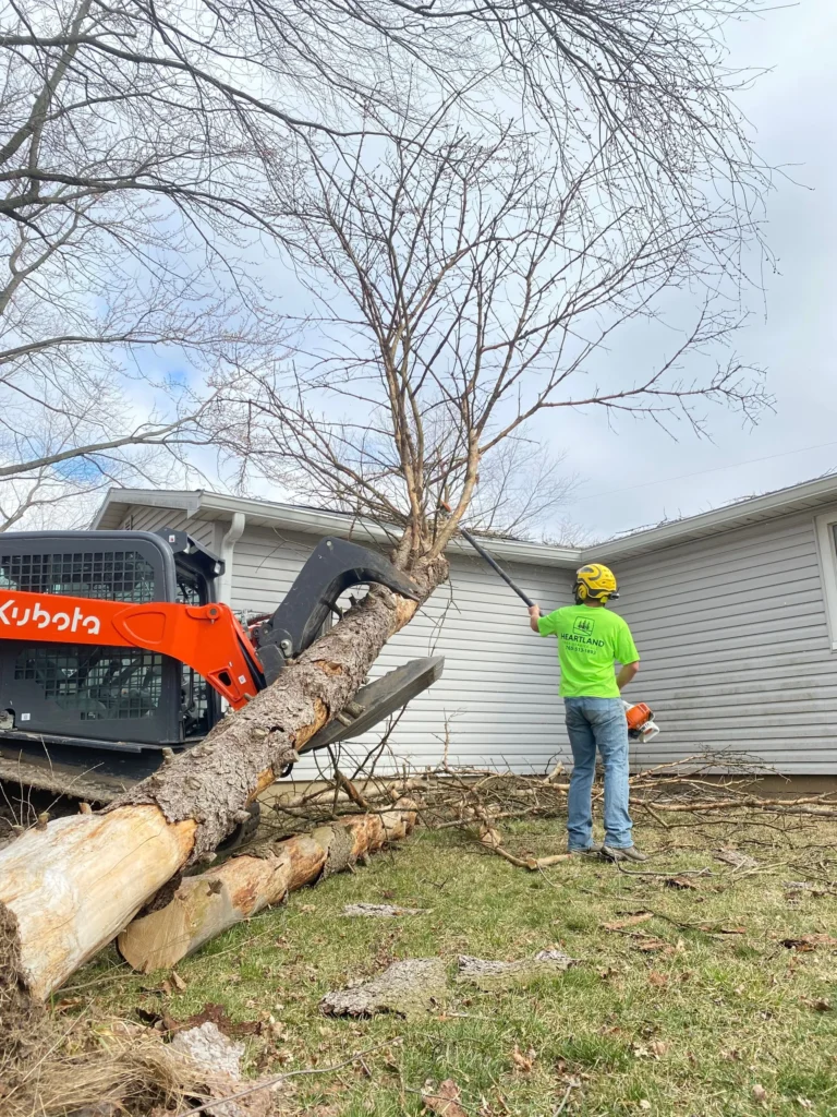Tree Services in Russiaville, IN