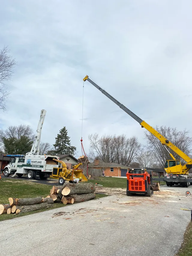 truck picking tree