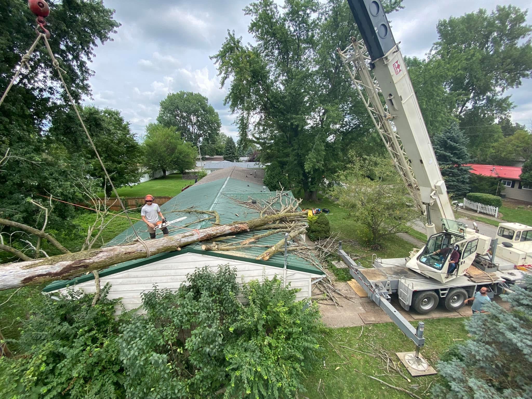 A high-angle view shows a large white crane being used to lift a fallen tree off the green shingled roof of a white residential garage. An arborist with a chainsaw stands on the roof to assist with the removal