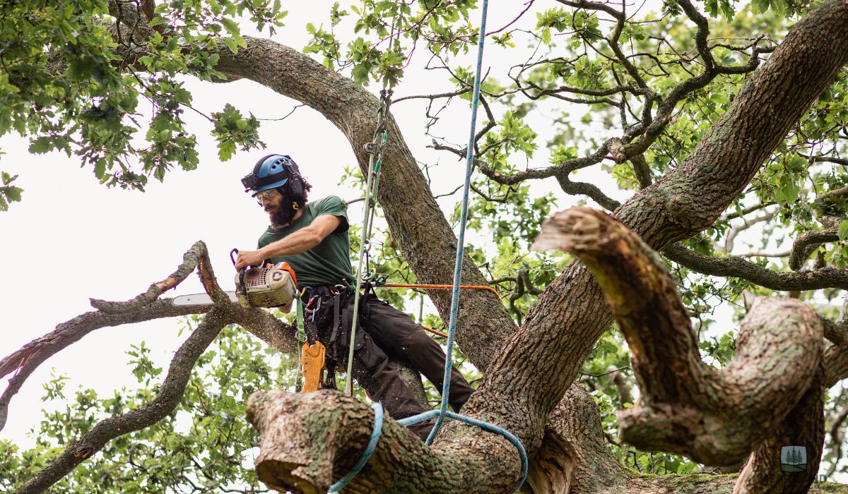 tree service insurance requirements