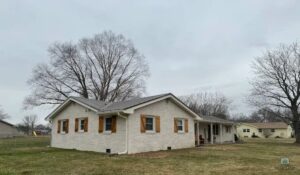 signs of a diseased tree