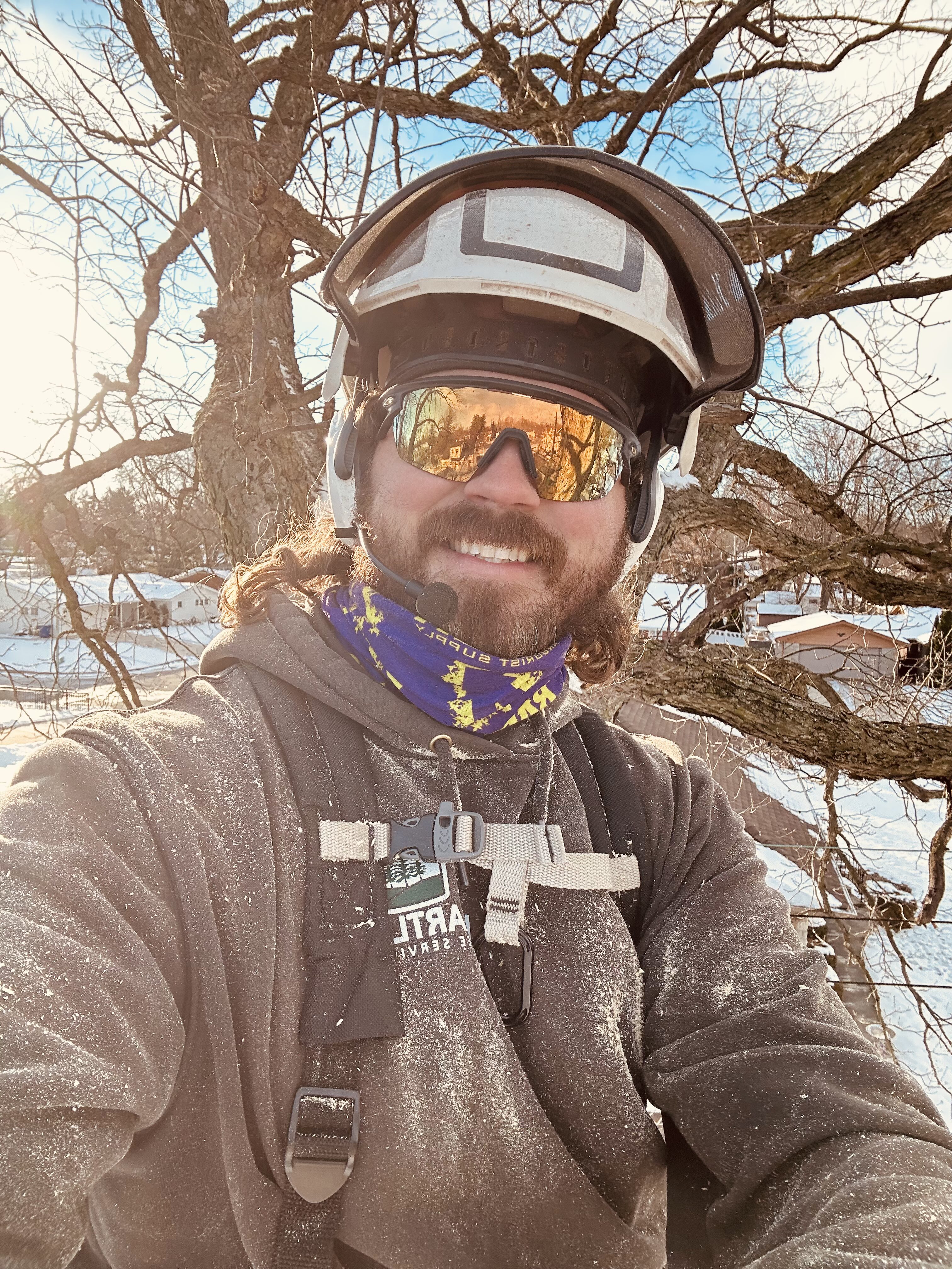 A close-up of an arborist wearing a "Heartland Tree Service" hoodie and a protective helmet with a face shield. He is using a Stihl chainsaw to precisely cut into a thick, horizontal tree trunk in a residential yard