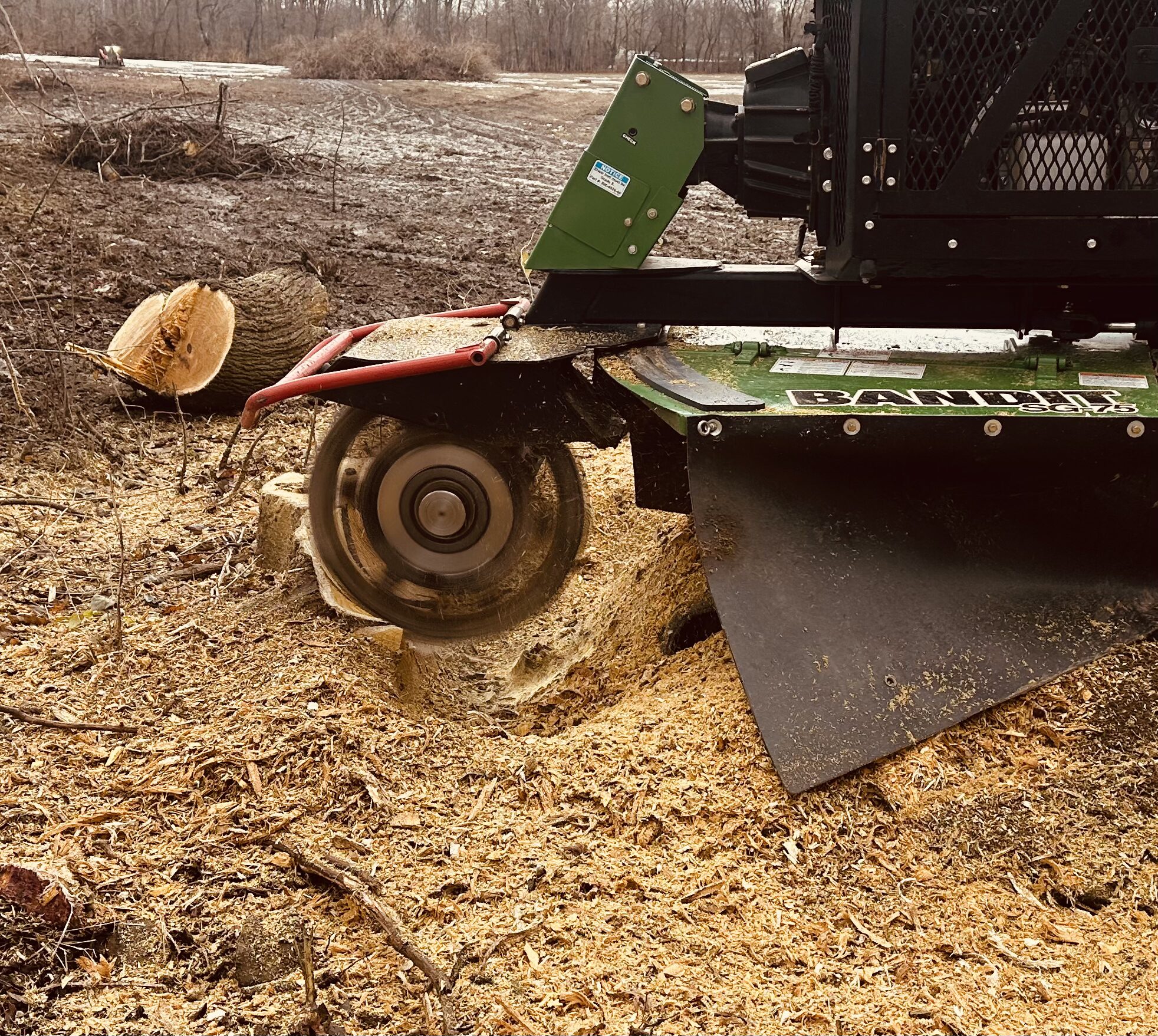 a green stump grinder grinding tree stumps