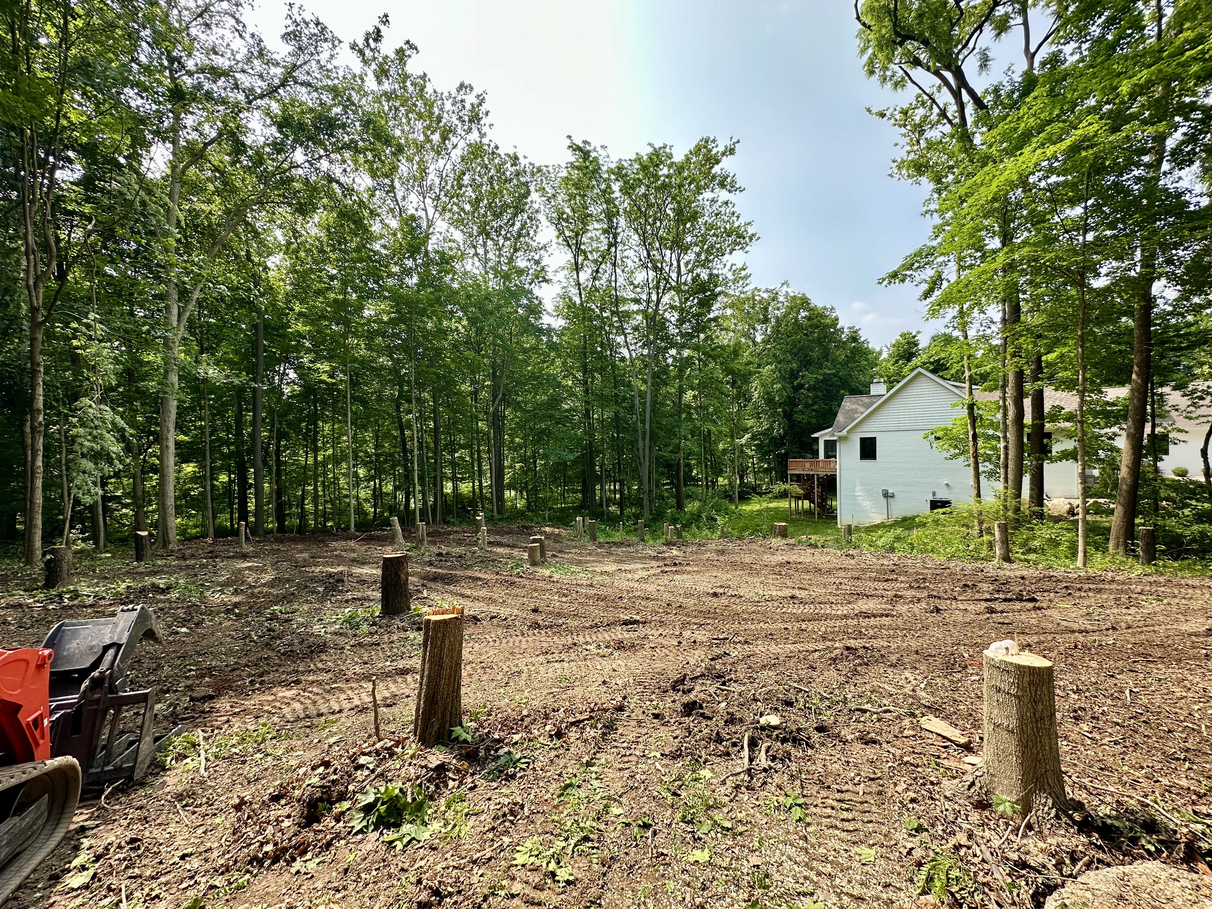 A wide view of a residential lot that has been cleared of trees, leaving behind several low-cut stumps and visible track marks in the dirt from heavy machinery