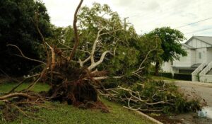 Understanding The Act of God Insurance Clauses in Kokomo, IN (2026)