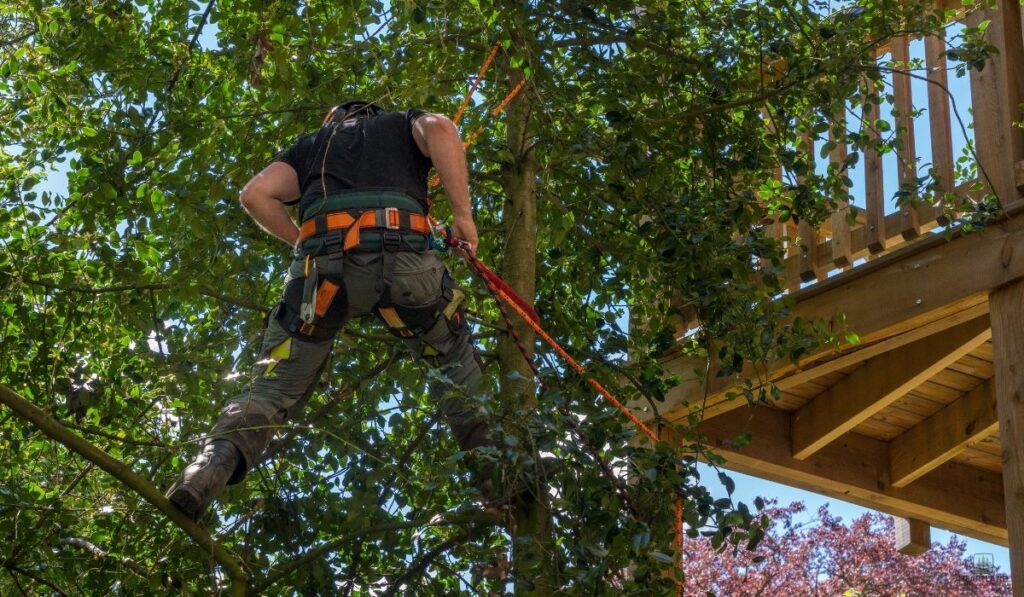 Why Professionals Face 10x the Industry Average Fatality Rate