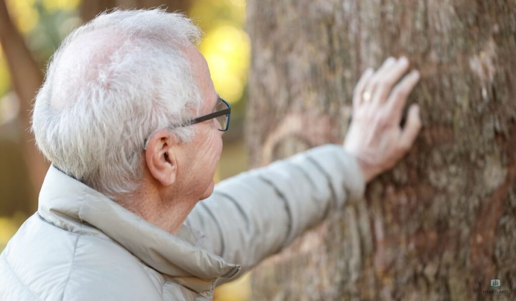 Early Detection and Annual Inspections