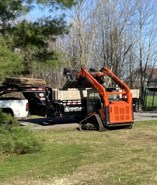 property clearing