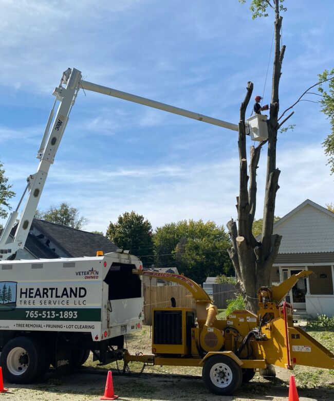 A Heartland Tree Service truck and yellow wood chipper are positioned in a residential yard. An arborist is visible in the raised bucket lift, using a chainsaw to prune high branches from a large tree near a house