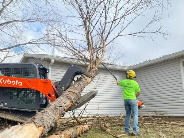 An arborist in a high-visibility green shirt and yellow helmet uses a long pole saw to prune upper branches from a tree leaning against a house. Simultaneously, an orange Kubota track loader uses a grapple attachment to stabilize and move the large fallen trunk of the same tree
