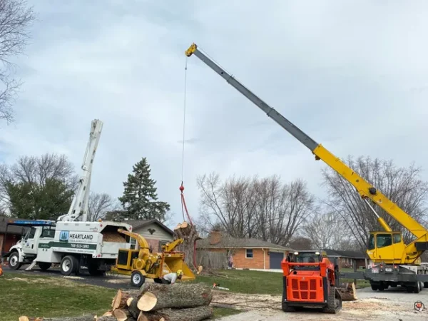 truck picking tree